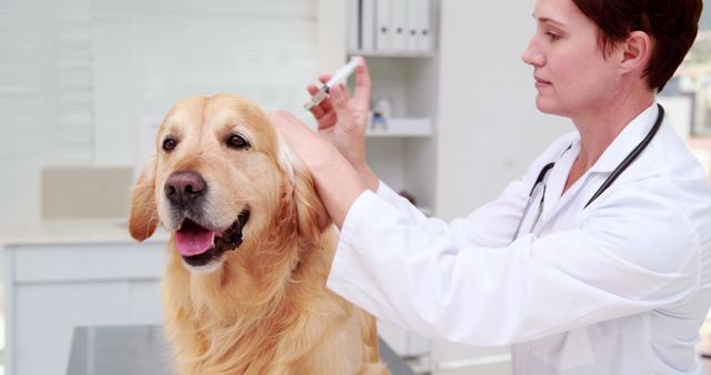 Veterinarian in white lab coat administering vaccine to a happy golden retriever in modern veterinary clinic. This image can be used for topics related to veterinary care, pet health, animal clinics, and professional pet services.