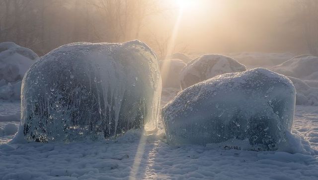 Backlit ice-encased round bales glowing in misty winter sunrise
