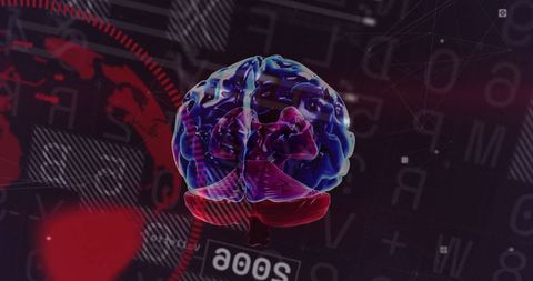 Rotating 3d interactive brain model in digital network interface