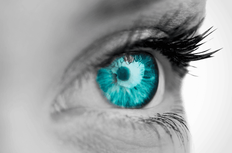 close-up on striking blue transparent eye with gray scale - Download Free Stock Videos Pikwizard.com