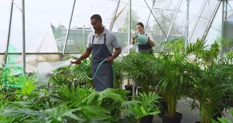 Gardeners tending to lush greenhouse plants with teamwork