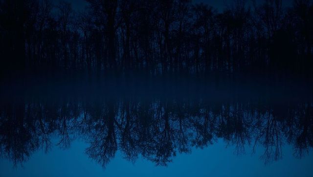 Moody twilight lake reflection of bare deciduous trees with misty fog and mirror water