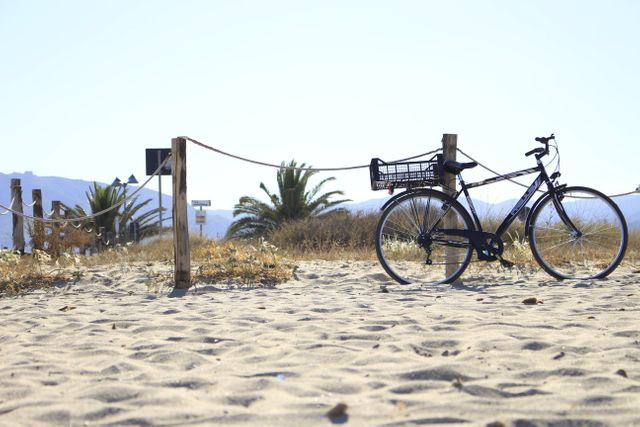 Black Bicycle Parked on Sandy Beach with Palm Trees in Background - Download Free Stock Photos Pikwizard.com