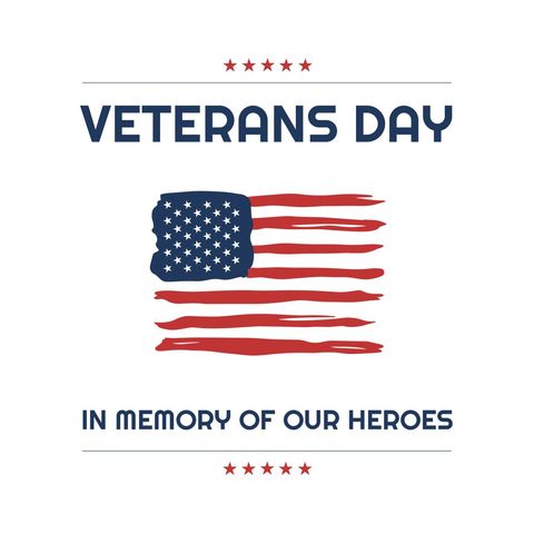 Veterans day commemorative flag design with patriotic tribute