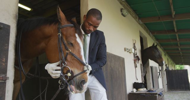 Depicts man in stable suiting up horse for horseback riding with bridle and halter. Ideal for content on equestrian activities, stables, horse training, animal care, and outdoor sports. Useful for riding school promotions, blogs on equine care, and a representation of work in rural or farm settings.