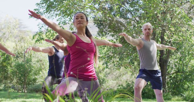 Group Yoga Session Outdoors in Sunny Park - Download Free Stock Images Pikwizard.com