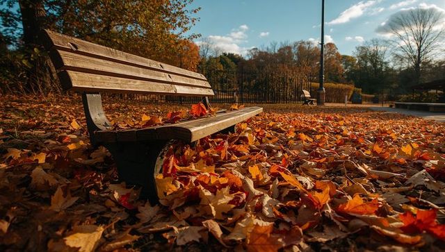 Park bench covered in autumn leaves at golden hour