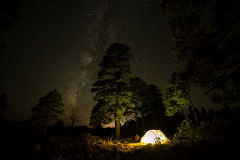 Starlit Campground in Pine Forest with Illuminated Tent