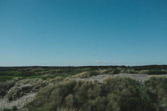 Serene Beach Landscape with Sand Dunes and Clear Blue Sky - Download Free Stock Images Pikwizard.com