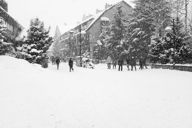 Snow-covered town with people walking on the street surrounded by trees and buildings. Ideal for illustrating winter weather, snow activities, and urban scenes. Useful for winter tourism, city life, and seasonal promotions.