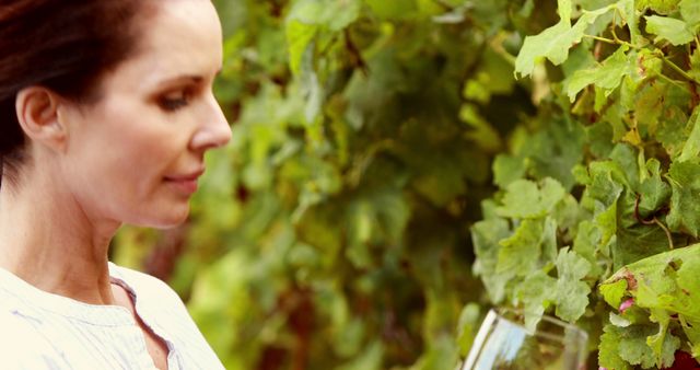 Woman Wine Tasting in Vineyard, Green Foliage Surrounding, Elegant Summer Day - Download Free Stock Images Pikwizard.com