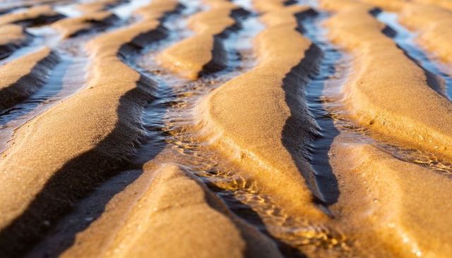 Sunlit golden sand ripples forming tidal channels macro texture with water reflections