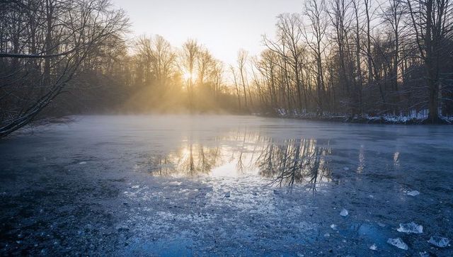 Glowing sunrise reflecting on partially frozen woodland pond with mist and ice shards