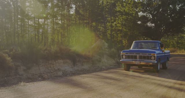 Vintage blue truck driving on a dusty road, with copy space. Sunlight filters through the trees, casting a warm glow on the outdoor scene.