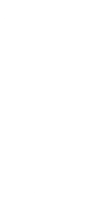 Cheering Woman Silhouette with Hands In Air On Transparent Background - Download Free Stock Videos Pikwizard.com