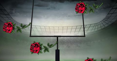 Red Roses Under Football Goalpost at Stadium - Download Free Stock Images Pikwizard.com