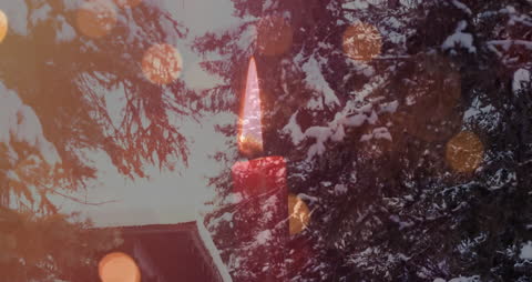 Scenic Winter Forest with Snow-Covered Pines and Candles