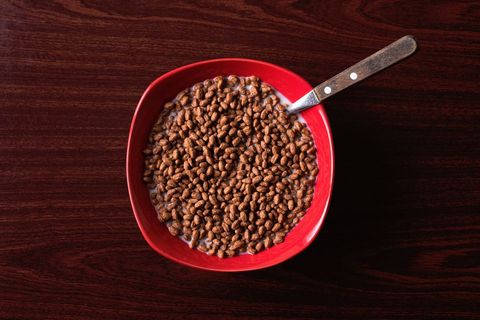 Crunchy chocolate cereal filling red bowl with milk and spoon on dark wood tabletop