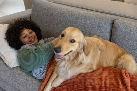 Relaxing woman petting golden retriever on cozy gray sofa with rust textured blanket