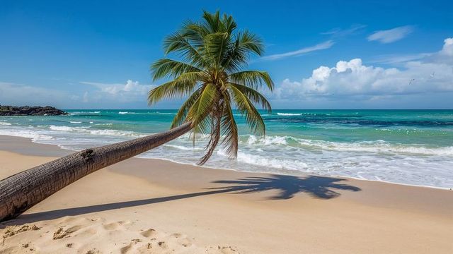 Idyllic tropical beach with leaning palm tree and azure waves