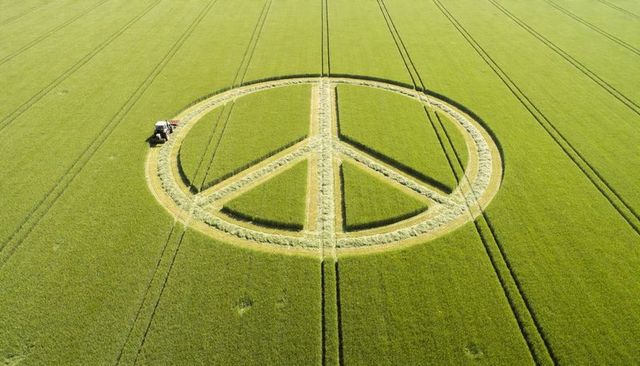 Aerial peace symbol crop circle with tractor and tramlines in sunlit green field, geometric