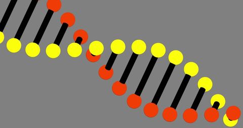 Stylized DNA Strand on Grey Background - Download Free Stock Images Pikwizard.com