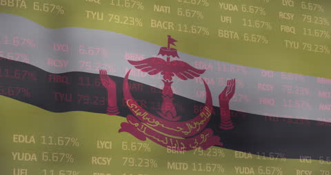 Brunei Flag with Financial Data and Global Business Concepts