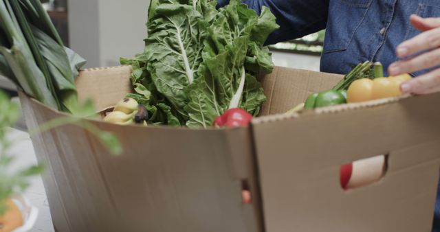 Person Unpacking Fresh Organic Vegetables from Cardboard Box - Download Free Stock Images Pikwizard.com