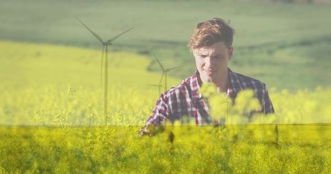 Young farmer inspecting sunlit canola field with wind turbines for sustainable agriculture