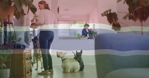 Cozy Kitchen Scene with Woman, Dogs, and Greenery