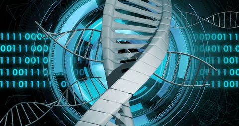 Digital DNA Analysis with Binary Code and Holographic Data - Download Free Stock Images Pikwizard.com
