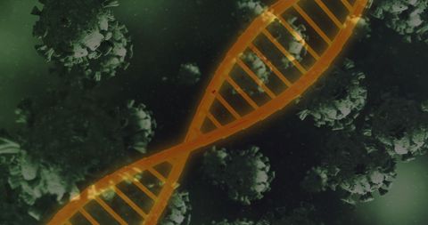3D Visualization of Coronavirus Cells with DNA Strand