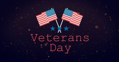 Veterans Day Tribute with USA Flags and Stars