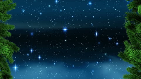 Starry Night Sky with Christmas Fir Branches