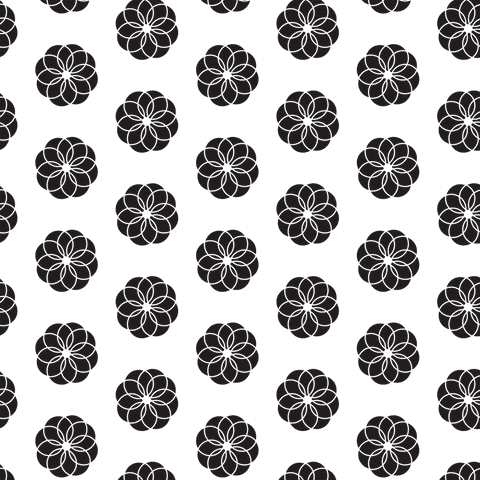 Black Geo Floral Pattern on Transparent Background - Download Free Stock Videos Pikwizard.com