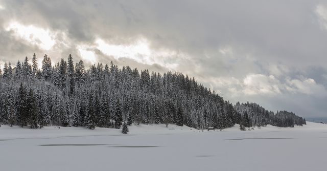 Winter Landscape of Snowy Forest and a Frozen Lake Under Cloudy Sky - Download Free Stock Photos Pikwizard.com