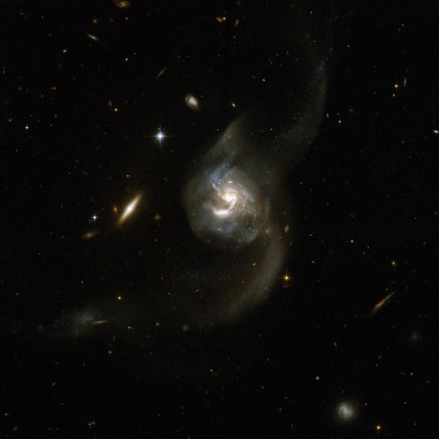 NGC 6090 is a beautiful pair of spiral galaxies with an overlapping central region and two long tidal tails formed from material ripped out of the galaxies by gravitational interaction. This image is from NASA Hubble Space Telescope.