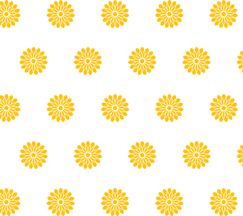 yellow sunflower pattern transparent background vector - Download Free Stock Videos Pikwizard.com