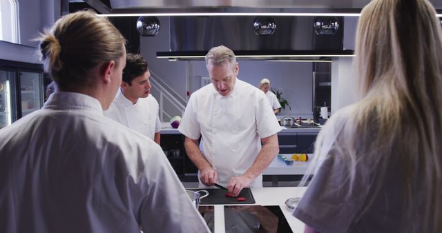 Chef demonstrating culinary techniques to young chefs in a modern, well-equipped kitchen, showcasing teamwork and professional cooking skills. Suitable for use in culinary educational materials, cooking and kitchen equipment advertisements, and food-related blog posts.