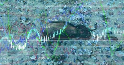 Seal pup carcass on beach with financial chart overlay