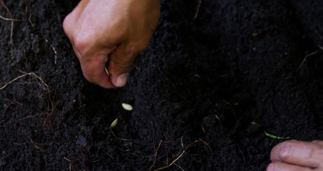A close-up shows a person's hands planting seeds in fertile soil, with copy space. Gardening activities like this connect people with nature and promote environmental stewardship.