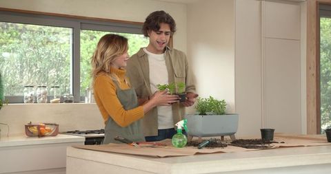 Couple Planting Herbs Indoors on Kitchen Island