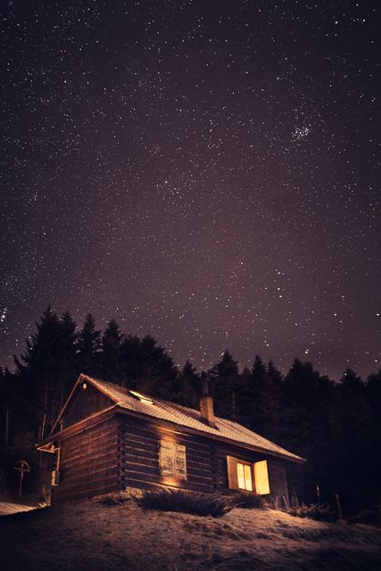 Cozy Cabin Under Starry Night Sky in Forest - Download Free Stock Photos Pikwizard.com