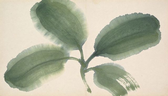 Minimalist botanical watercolor study of four large green leaves on textured paper