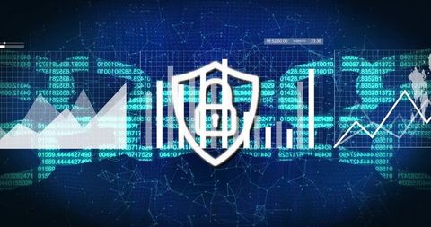 Digital Shield Protecting Financial Data on Analytics Dashboard with Network Visualization