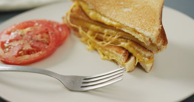 Image of freshly prepared cheese white bread sandwich with tomatoes and fork on white plate - Download Free Stock Photos Pikwizard.com