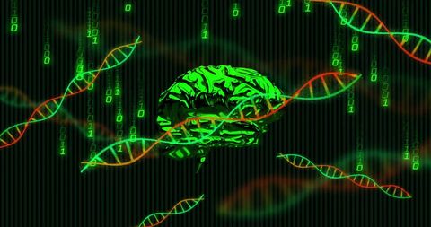 Digital Brain with DNA Strands and Binary Codes - Download Free Stock Images Pikwizard.com