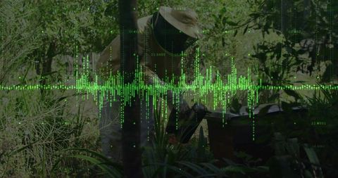 Beekeeper inspects hive with digital waveform overlay