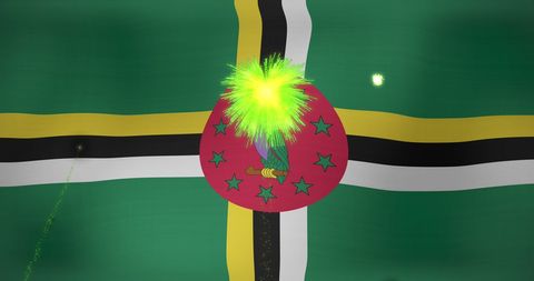 Vibrant fireworks exploding over flag of dominica