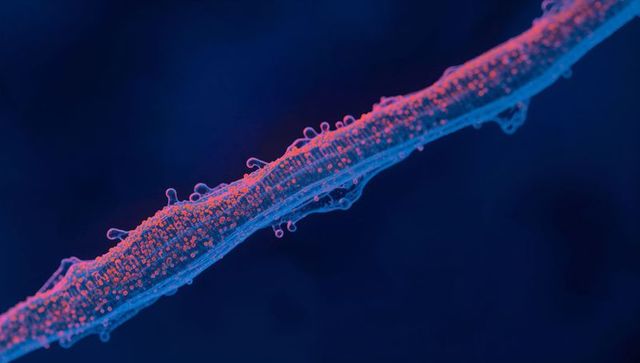 Macro filament with droplets and bead-like scales in cyan magenta rim lighting